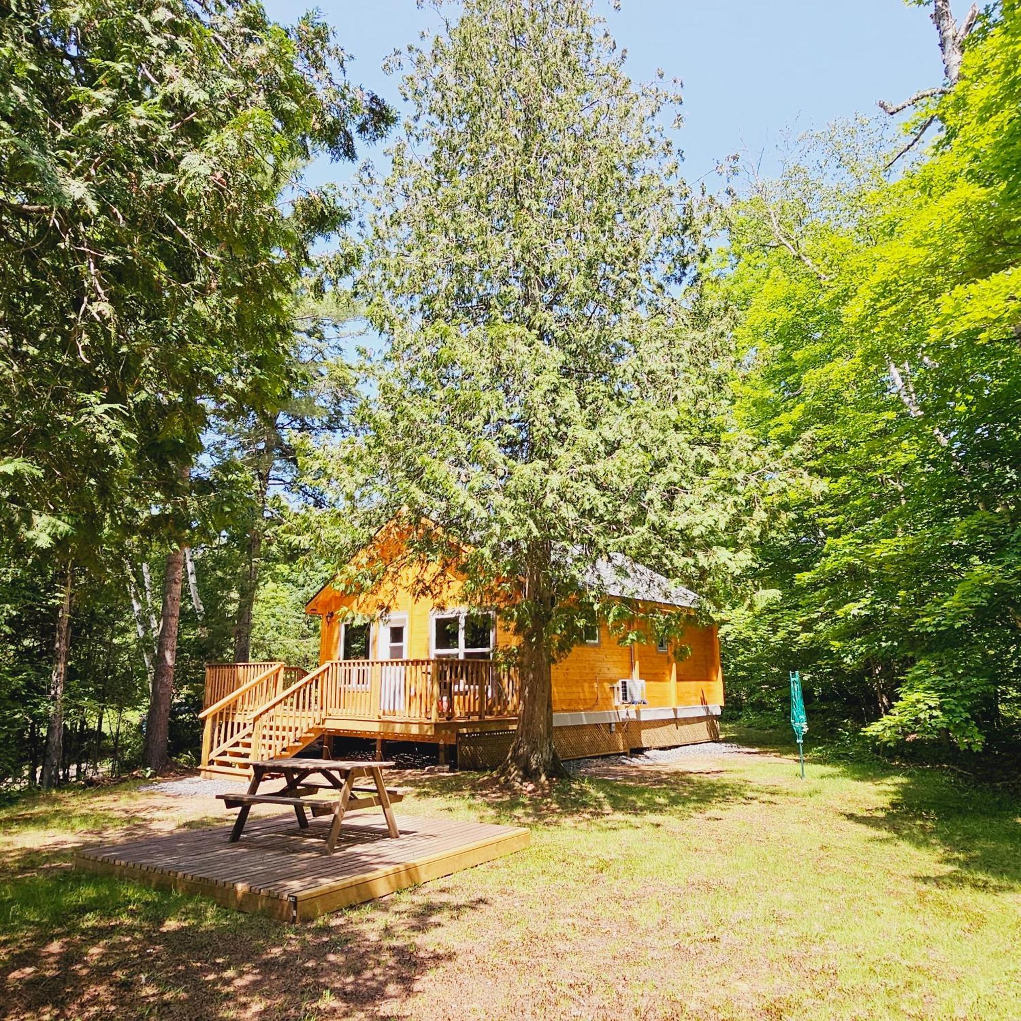 Parkway Cottage Resort&Trading Post Dwight Exteriör bild